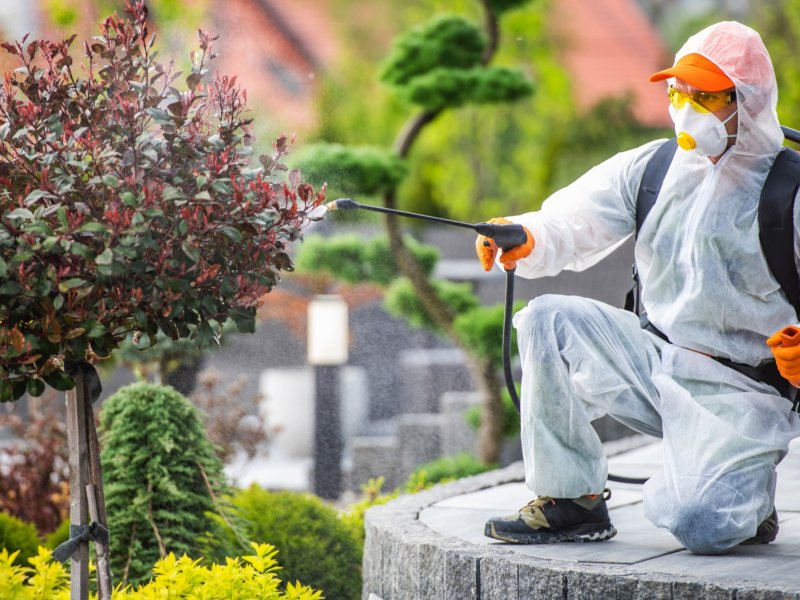 Gördes Haşere İlaçlama